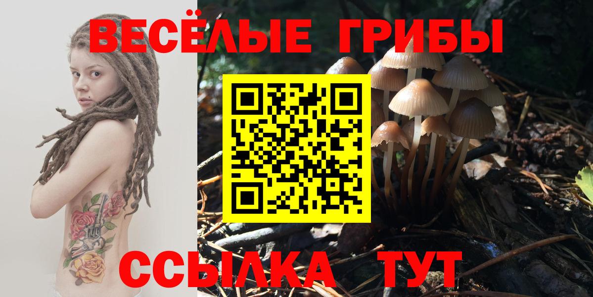 Галлюциногенные грибы MAGIC MUSHROOMS  Вход с VPN  Воркута 